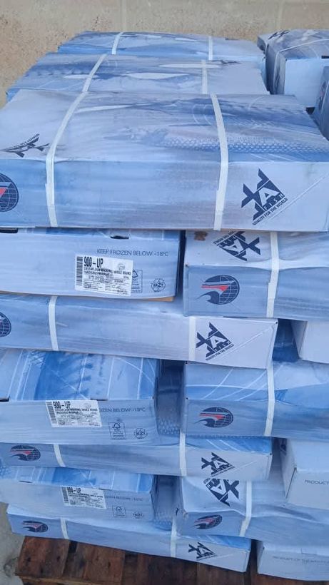 Cajas de Pescado Jurel a $550 la libra