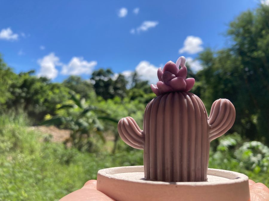 Velas aromáticas artesanales