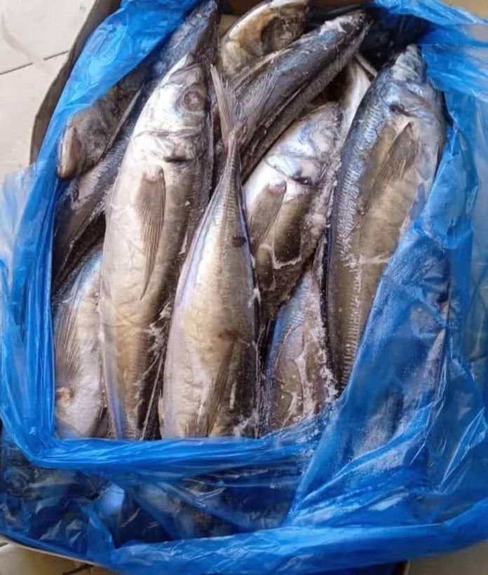 Cajas de Pescado Jurel a $550 la libra